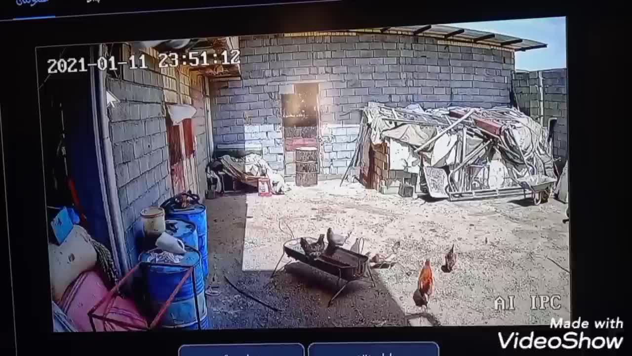 دوربین مداربسته AI(قابلیت پیکربندی هوشمند)|دوربین مداربسته|شهرکرد, |دیوار