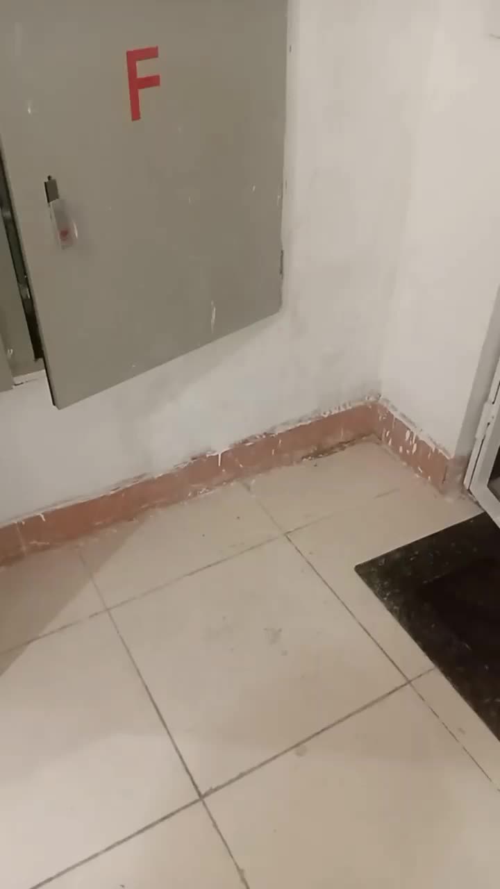 نشت یابی تصویری بدون خط کاملاتظمینی وبشرط نقطه زنی|خدمات پیشه و مهارت|کرمانشاه, |دیوار