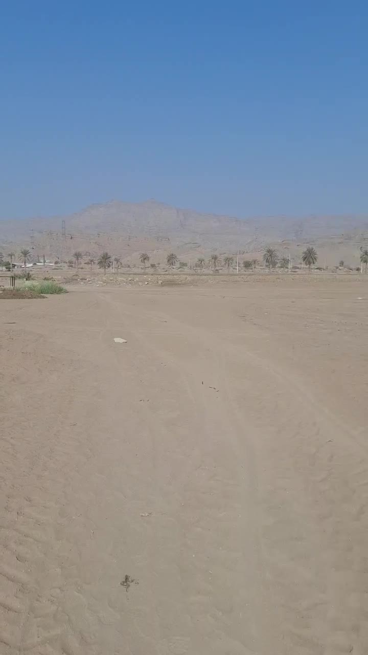 ساخت سازهای گلخانه|عمدهفروشی|جم, |دیوار