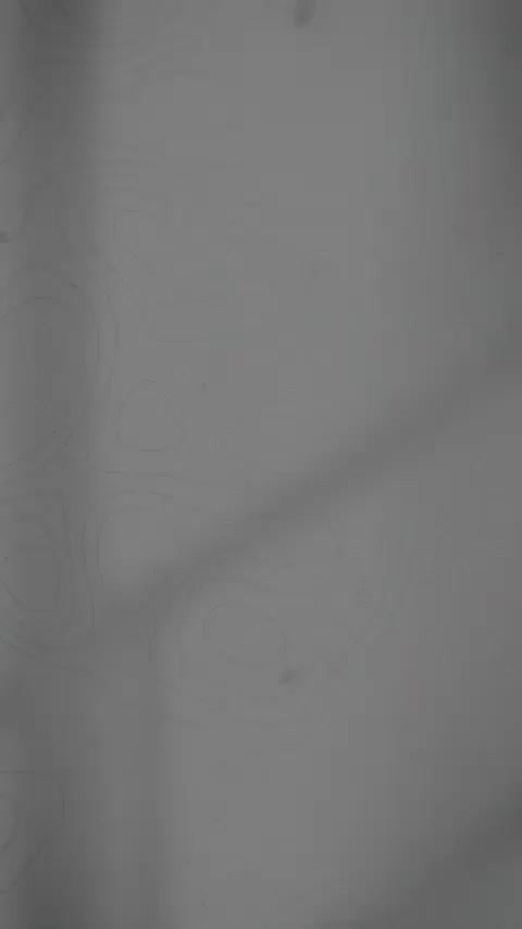 درخت بزرگ۷ساله نهال زرشک عناب نهالستان قم چک صیادی|خدمات باغبانی و درختکاری|قم, آزادگان|دیوار