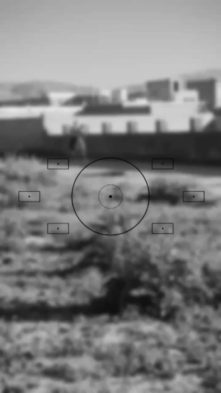 مادیان کرد|اسب و تجهیزات اسبسواری|ملایر, |دیوار