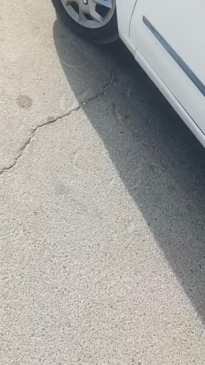 تیبادو|خودرو سواری و وانت|قائن, |دیوار