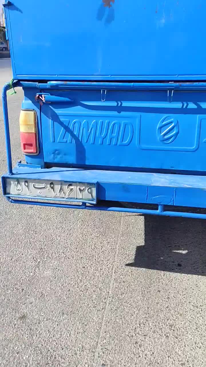 بوقلمون جوجه|حیوانات مزرعه|همدان, |دیوار