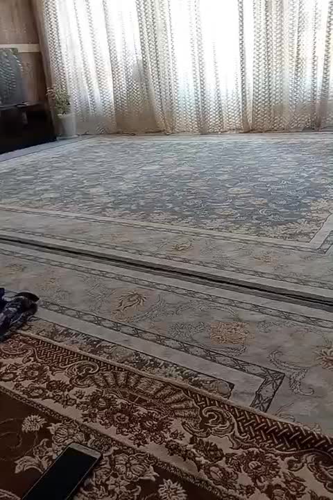 یک جفت فرش نو700شانه 2550تراکم جنس عالی|فرش|خمینیشهر, |دیوار