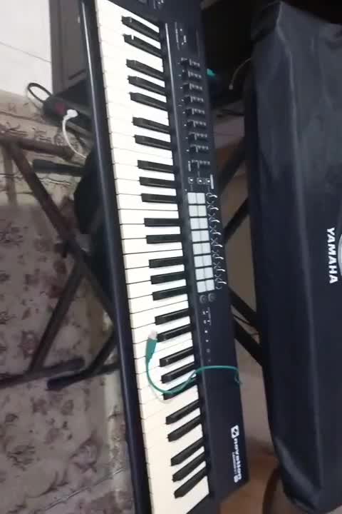 ارگ میدی کنترلر|پیانو، کیبورد، آکاردئون|کرج, شهرک آسمان|دیوار