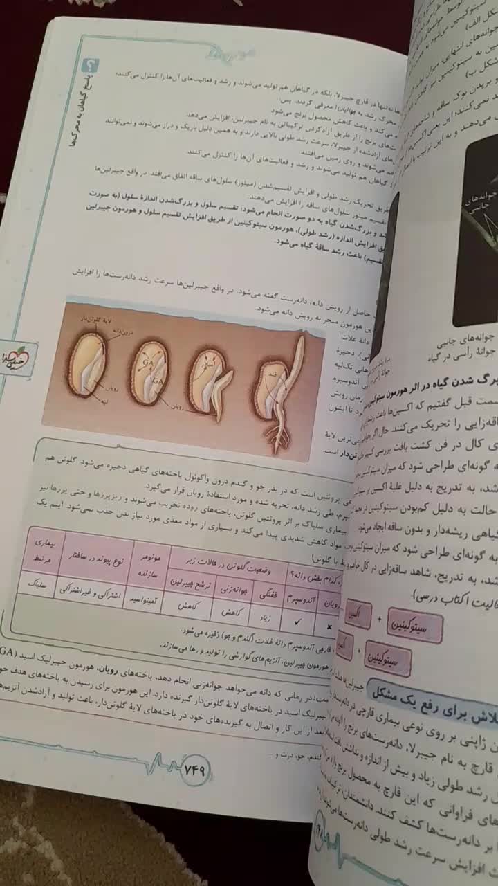 فروش ویژه انواع کتاب ها در حد‌بسیار نو|کتاب و مجله آموزشی|جهرم, |دیوار