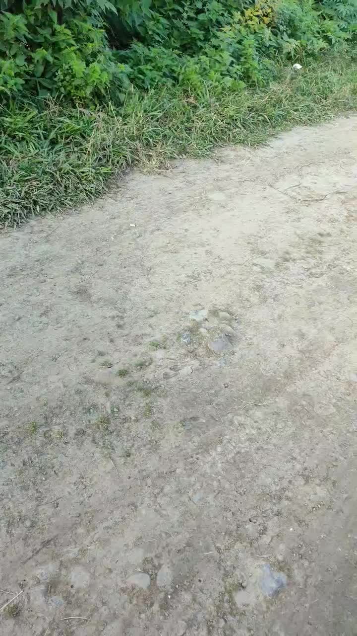 مزدا۶ژاپن|خودرو سواری و وانت|کوچصفهان, |دیوار