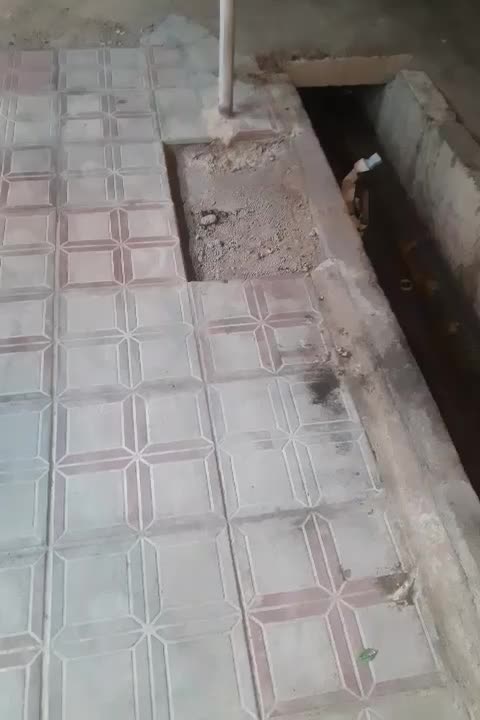 موکت (عمده وخرده )|موکت|بیرجند, |دیوار