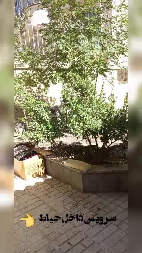 خوابگاه دخترانه تازه تاسیس / ظرفیت محدود|اجارهٔ کوتاه‌مدت آپارتمان و سوئیت|مشهد, آزادشهر|دیوار