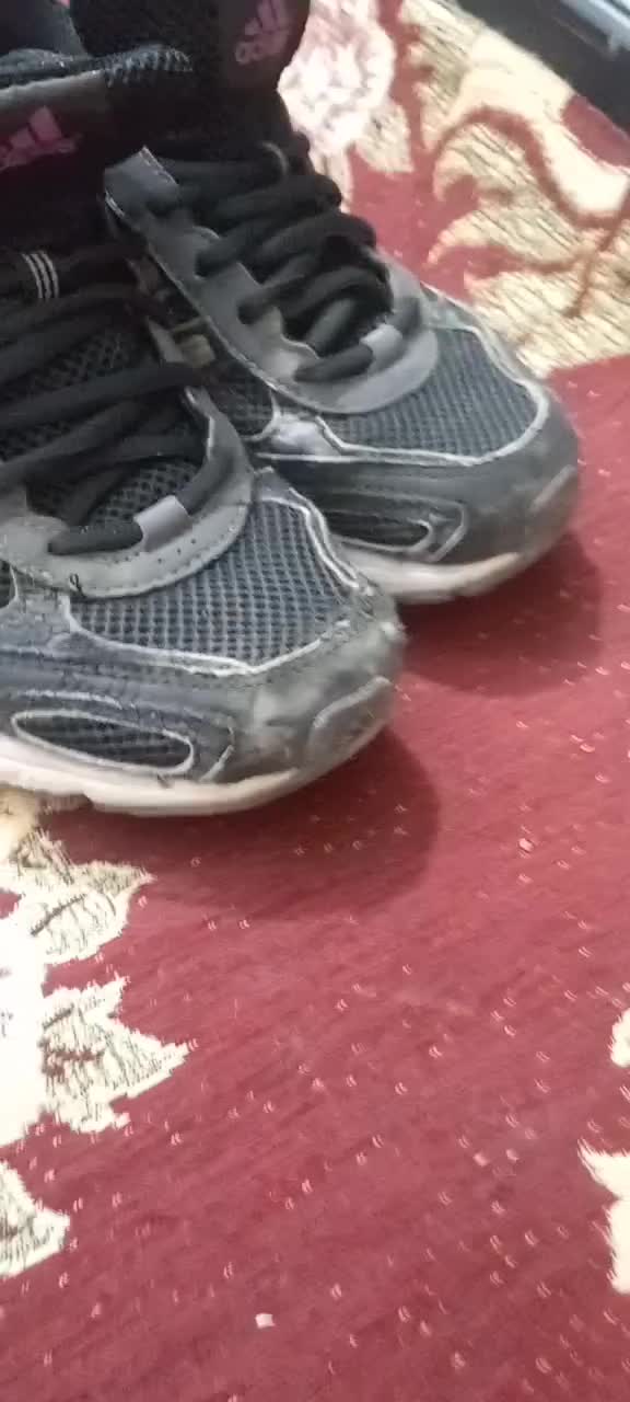 کتونی سفارش ویتنام ادیداس  اکومنت سایز ۳۹|کیف، کفش، کمربند|قرچک, شهرک طلائیه|دیوار