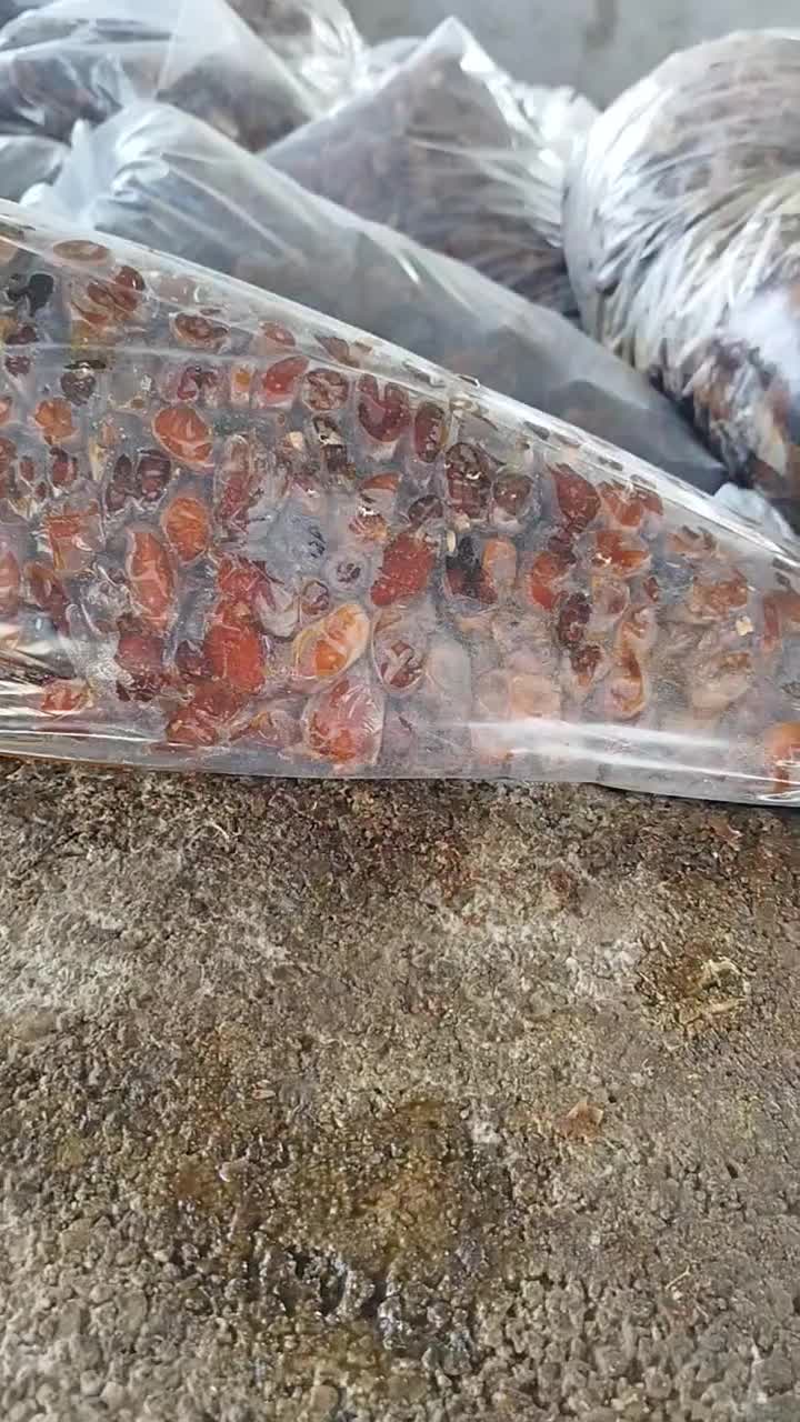 زایعات خرما تناژ بالا. وشیره خرما درجه یک|عمده‌فروشی|برازجان, |دیوار