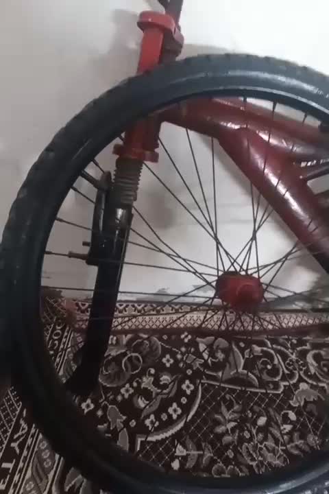 دوچرخه ۲۴ نو|دوچرخه، اسکیت، اسکوتر|رامهرمز, |دیوار