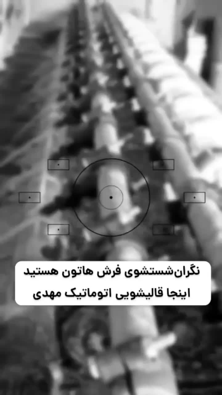 کارخانه قالیشویی مهدی|خدمات نظافت|نظرآباد, نظرآباد|دیوار