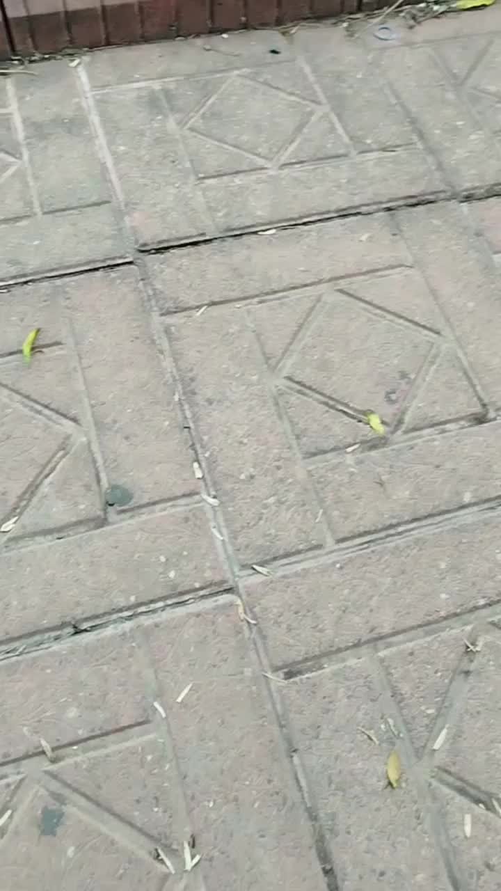 دوچرخه لوازمی اسپرت ۲۶|دوچرخه، اسکیت، اسکوتر|رشت, گلسار|دیوار