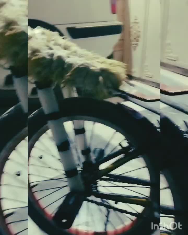 سلام 350000 دوچرخه به فروش می‌رسد الکی مزاحم نشوید|دوچرخه، اسکیت، اسکوتر|سراوان, |دیوار