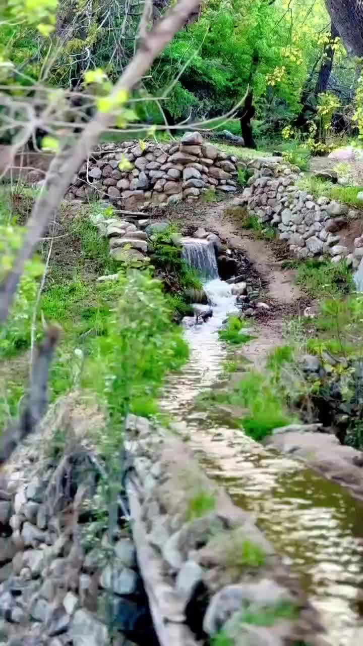سری قوری|قوری، کتری، قهوه‌ساز دستی|یزد, |دیوار