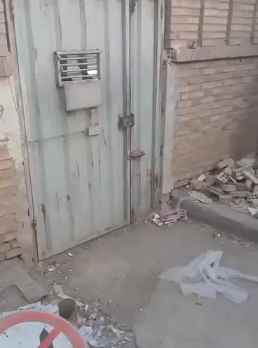 واگزاری نر پژدر|سگ|رودشت (اصفهان), |دیوار