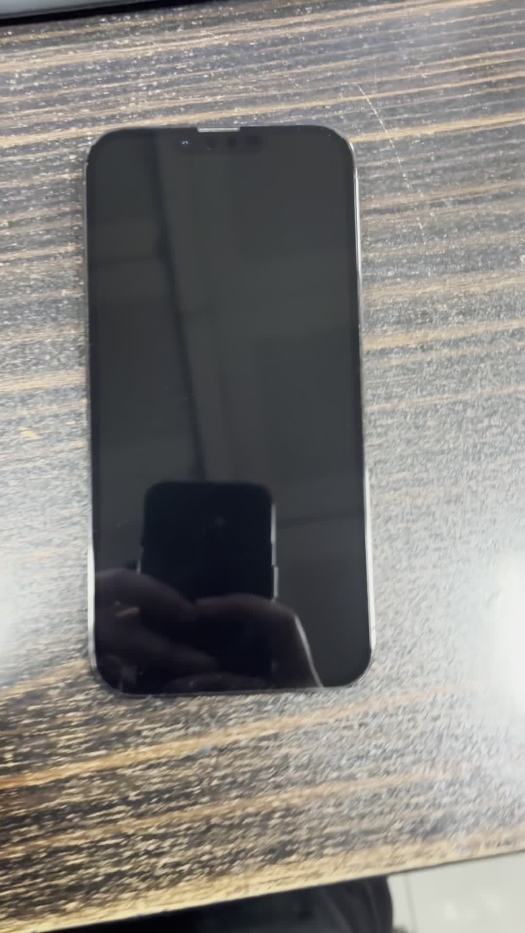 اپل iPhone 13 Pro Max با حافظهٔ ۲۵۶ گیگابایت|موبایل|رشت, استادسرا|دیوار
