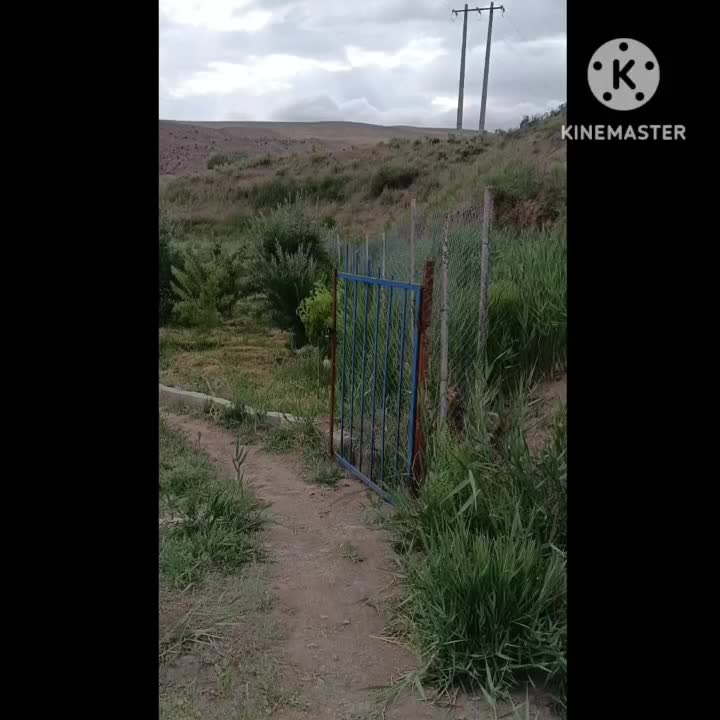 باغ مبله و تکمیل در خوجا|فروش خانه و ویلا|خواجه, |دیوار