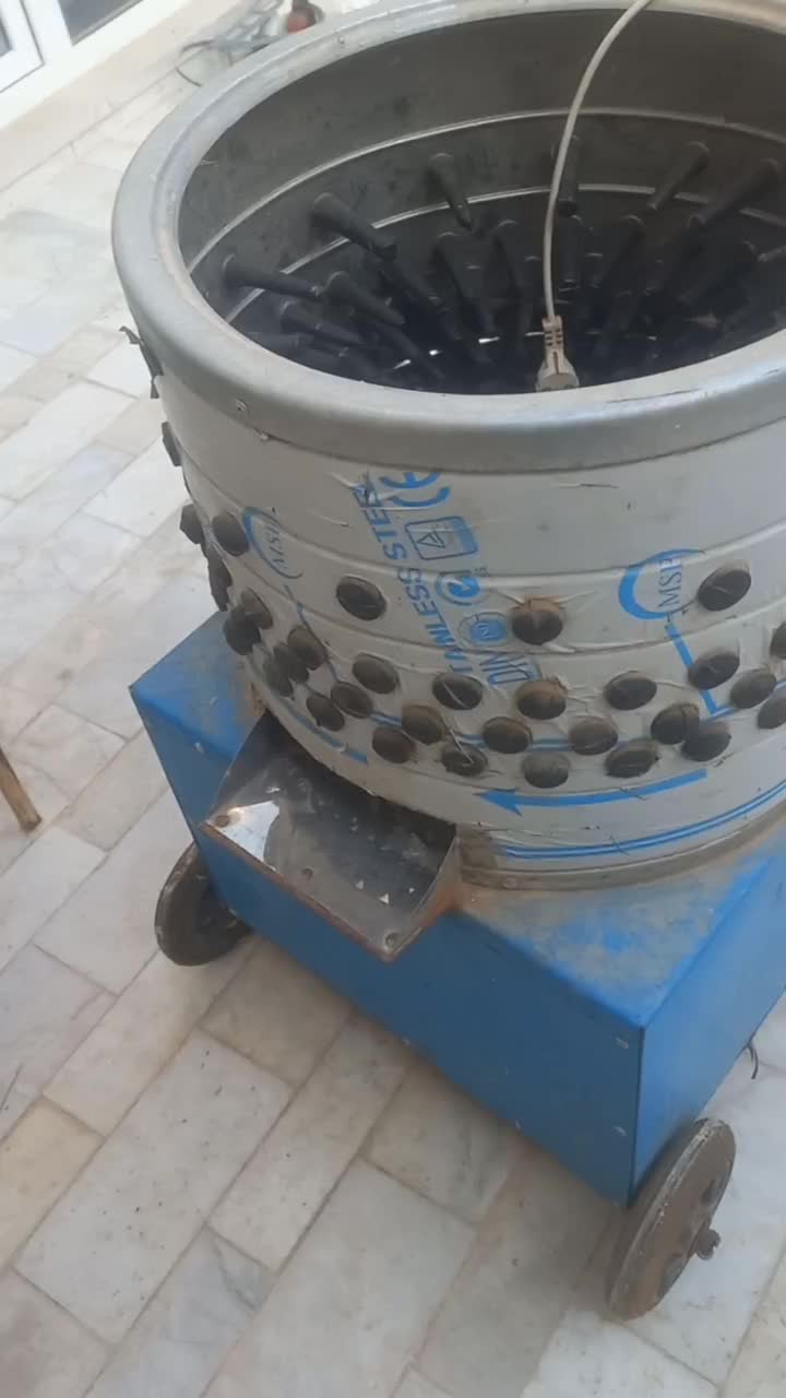 دستگاه پرکن مرغ وبوقلمون|لوازم جانبی حیوانات|میبد, |دیوار