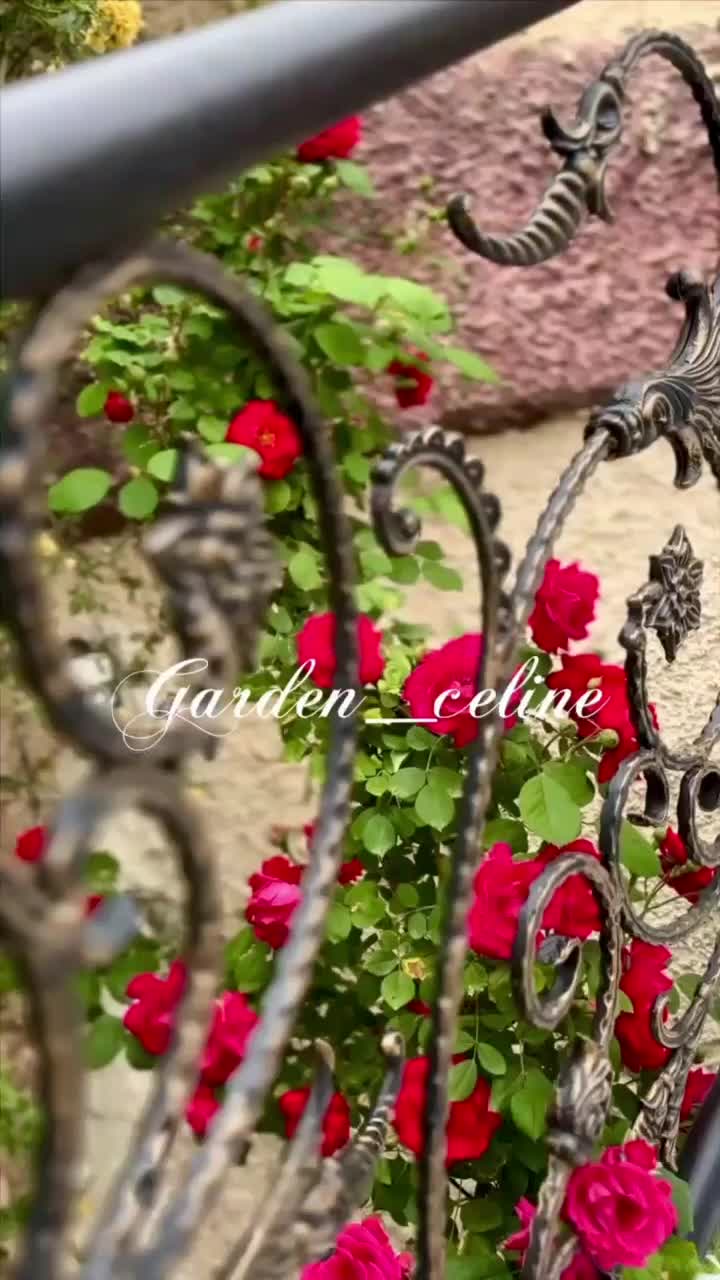 اجاره باغ ویلاجشن تولدمراسم نامزدی عکاسی(حیدراباد)|اجارهٔ کوتاه‌مدت ویلا و باغ|اصفهان, آبشار|دیوار