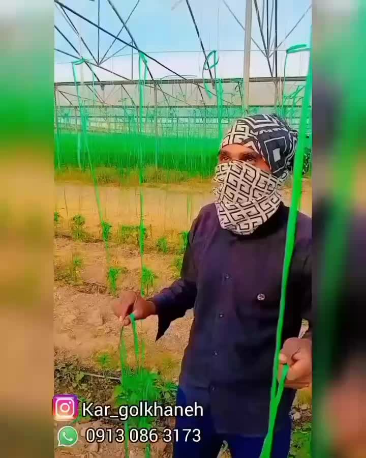 نخبندی گلخانه و پلاستیک کشی در استان کرمان جیرفت|خدمات باغبانی و درختکاری|جیرفت, |دیوار