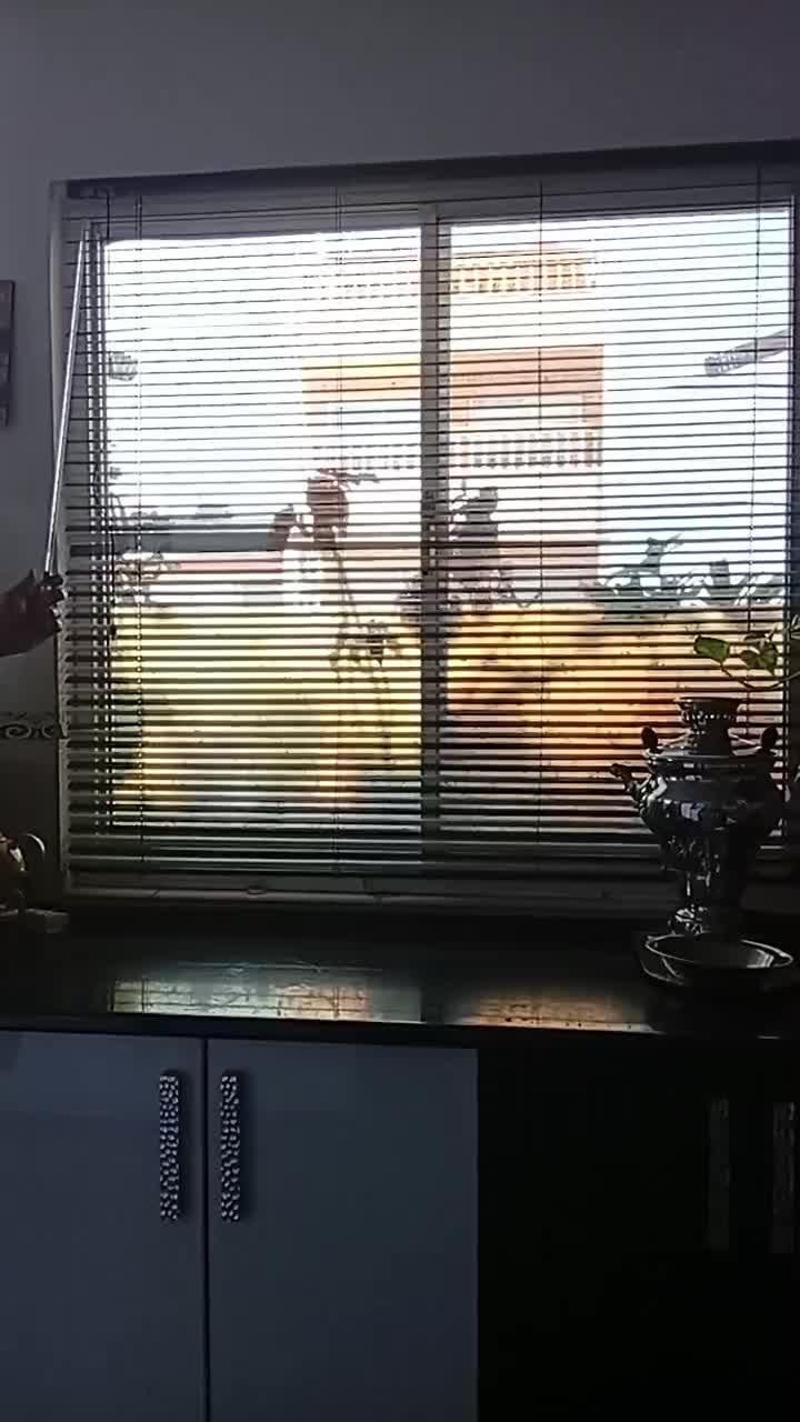 پرده|پرده، رانر، رومیزی|رشت, پیرکلاچای|دیوار