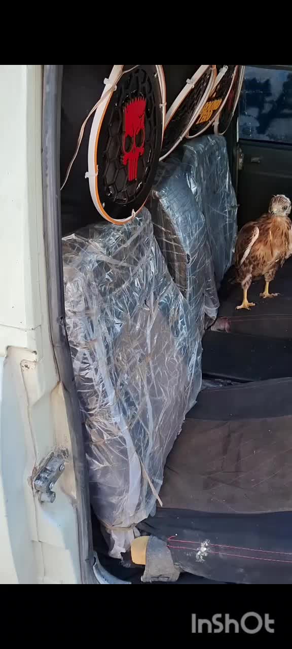 وانت 90|خودرو سواری و وانت|کرمانشاه, |دیوار