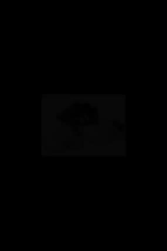 کتونی پسرونه دخترونه نیبالانس نایک ونس زدیکس|کیف، کفش، کمربند|قم, زنبیل آباد|دیوار