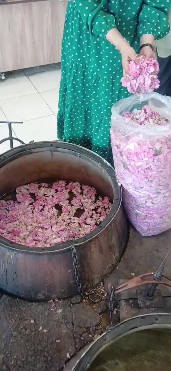کاشان گردی|تور و چارتر|کاشان, پامنار|دیوار