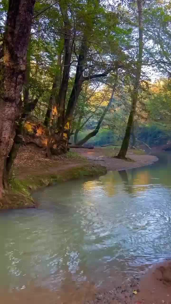 گردو روغنی الموت|خوردنی و آشامیدنی|قزوین, |دیوار
