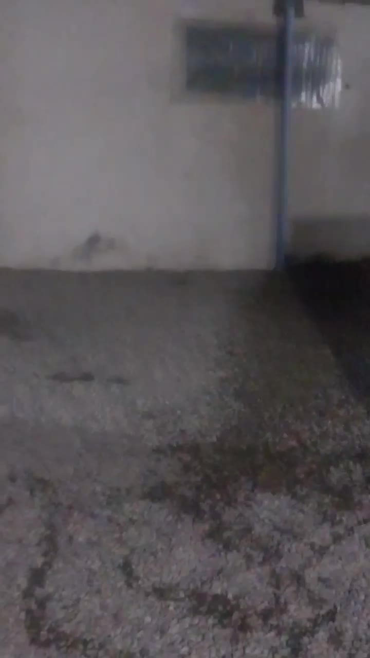 سالنهای بهداشتی و هر نوع سالن موجود است تماس مالک|اجارهٔ دفتر صنعتی، کشاورزی، تجاری|اسلامشهر, شهرک قائمیه|دیوار