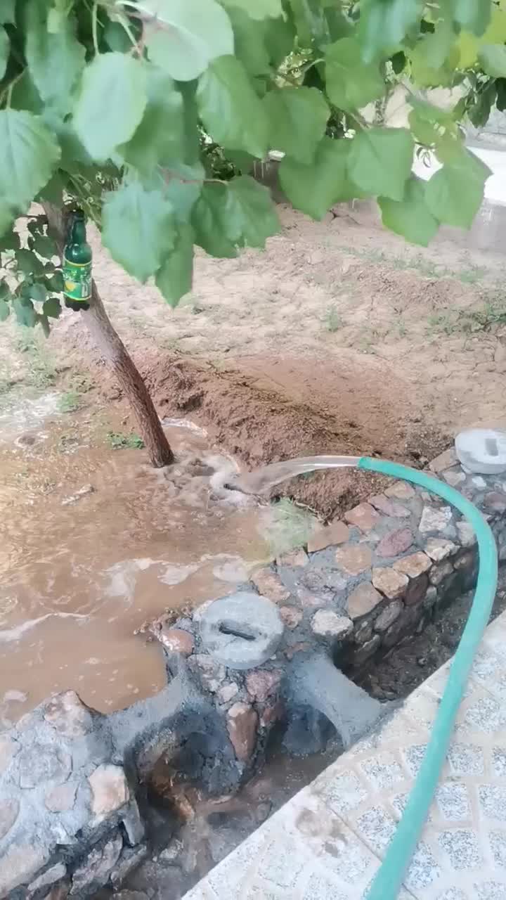فروش خانه باغ 300 متری علی روستای علی آباد صدری|فروش خانه و ویلا|یزد, |دیوار