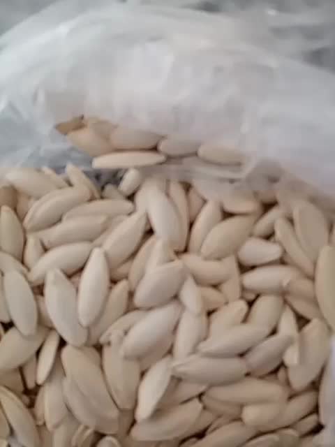 نخود عدس تخمه کدو|خوردنی و آشامیدنی|بهمن صغاد, |دیوار