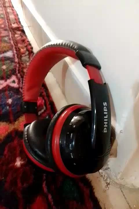 فروش|لوازم جانبی موبایل و تبلت|تبریز, |دیوار