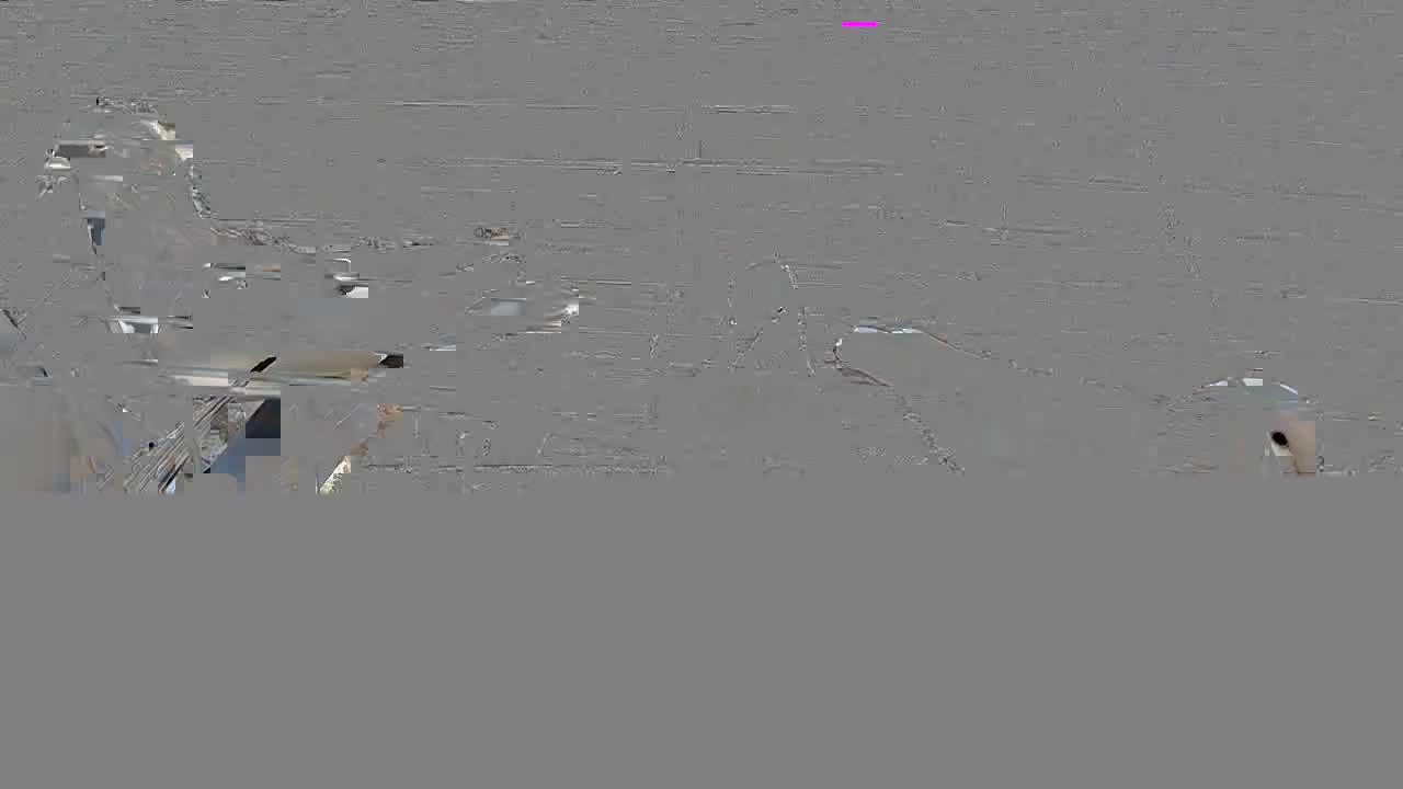 ۸تا حیون خوب نر|پرنده|گلبهار, نوبهار|دیوار