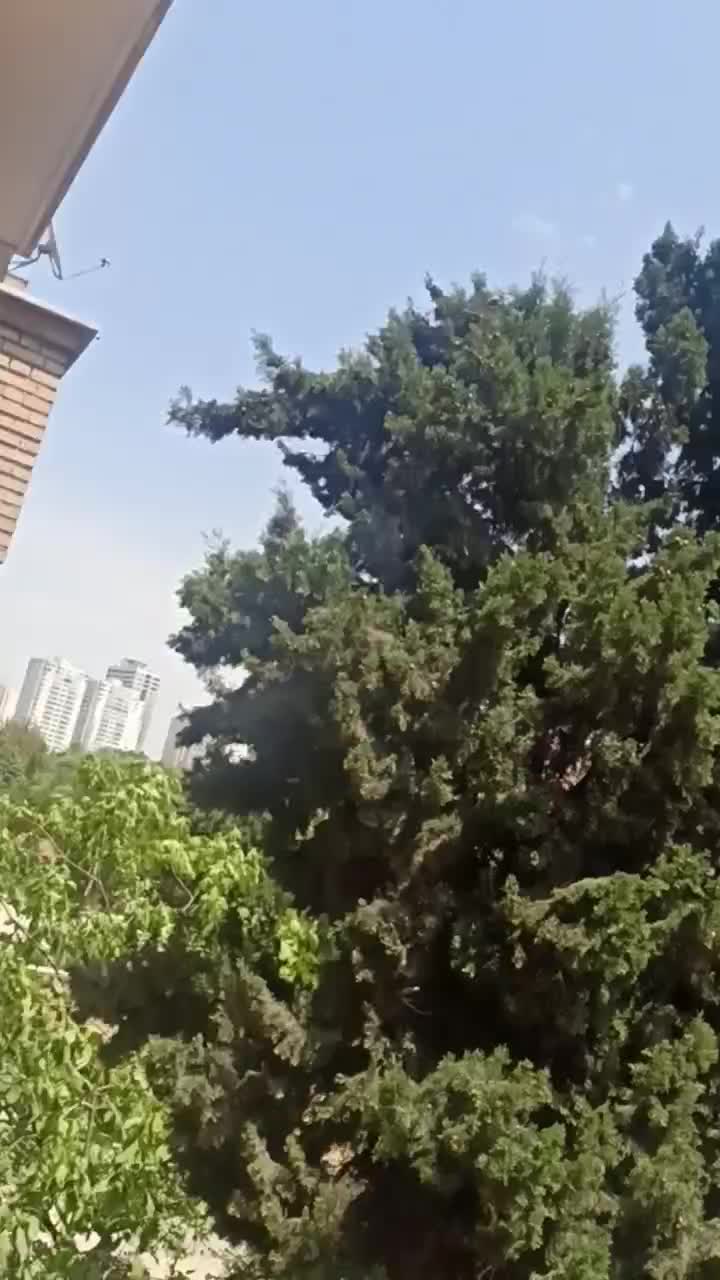 اپارتمان زرافشان ، گل افشان|فروش آپارتمان|تهران, ایوانک|دیوار