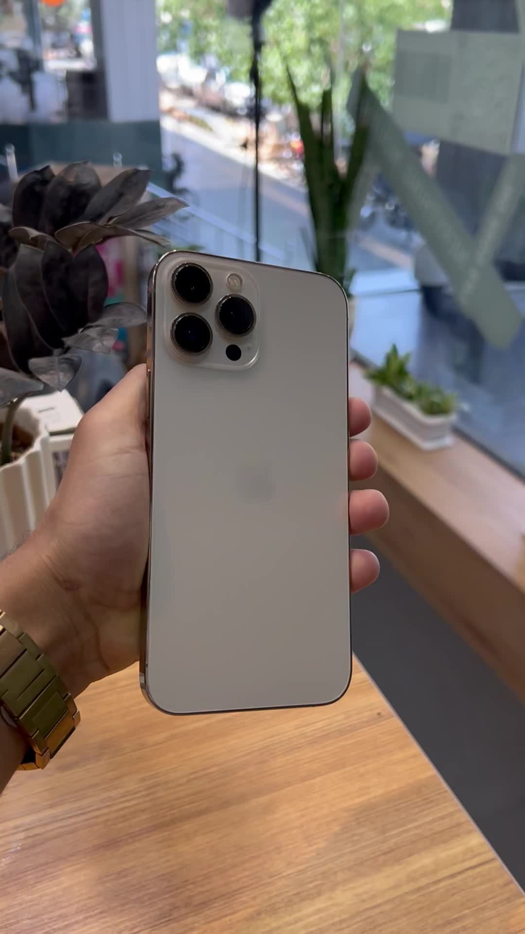 iphone 13 pro max 256|موبایل|شیراز, معالیآباد|دیوار
