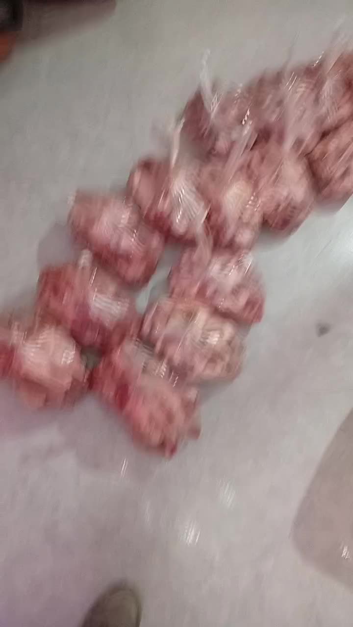 اسکلت مرغ و بوقلمون گوشتی|عمده‌فروشی|دماوند, دماوند|دیوار