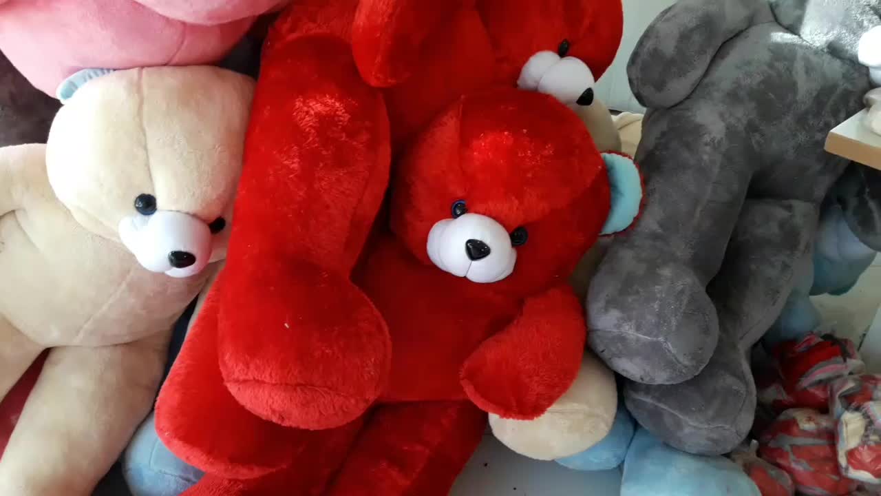 عروسک خرسی|اسباببازی|دیواندره, |دیوار