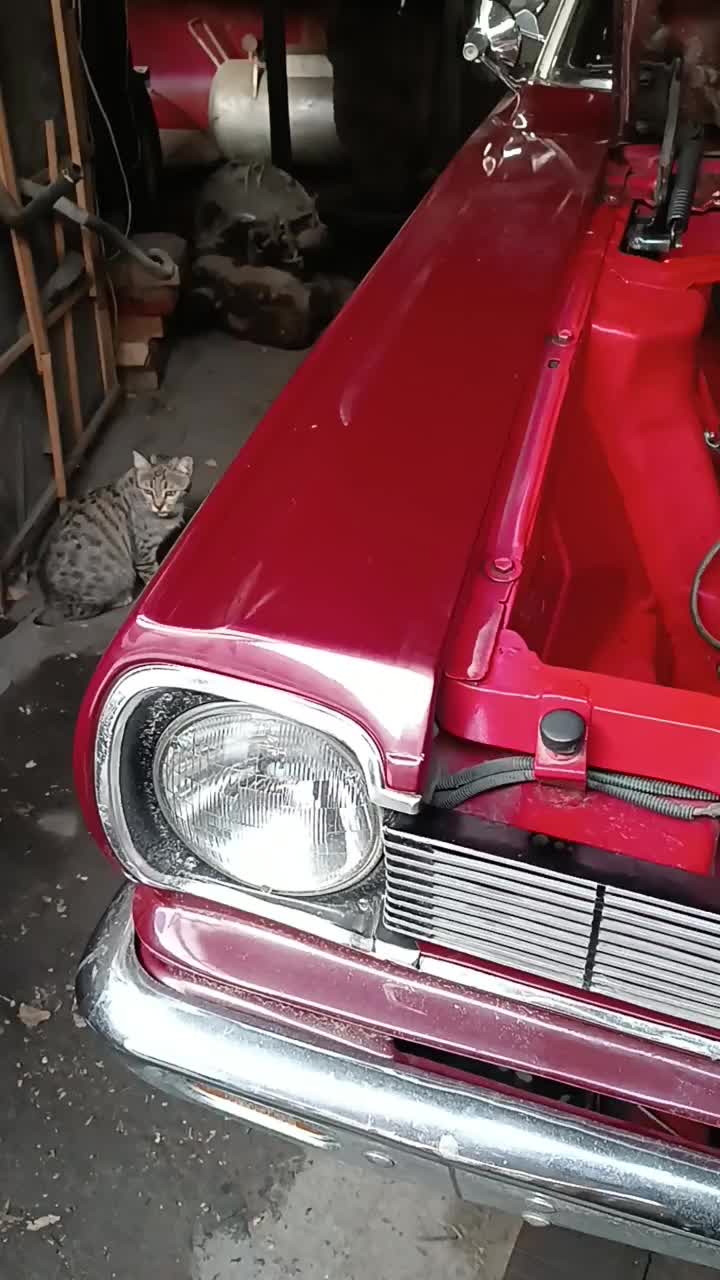 تعمیرات انواع جیپ اهو و شهباز|قطعات یدکی و لوازم جانبی|تهران, شهرک پرواز|دیوار