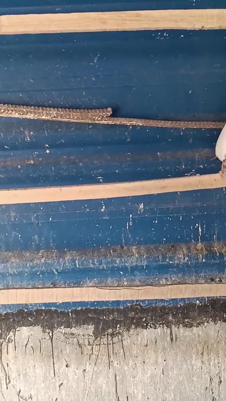 کبوتر فروشی شخصی ۵ عدد قیمت توافقی|پرنده|سمنان, |دیوار