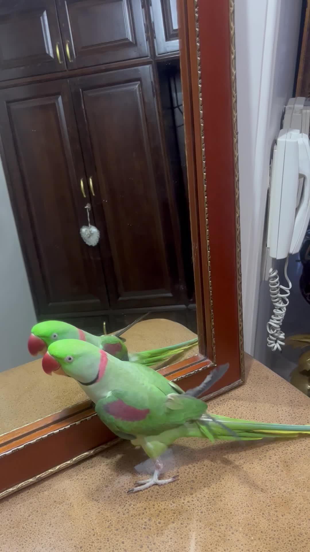 0990.1234.935|سیم‌کارت|تهران, امانیه|دیوار