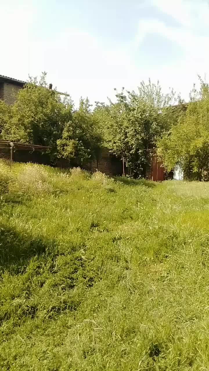 فروش یا تهاتر دوتا ویلای روستایی در مازندران|فروش خانه و ویلا|پل سفید, |دیوار