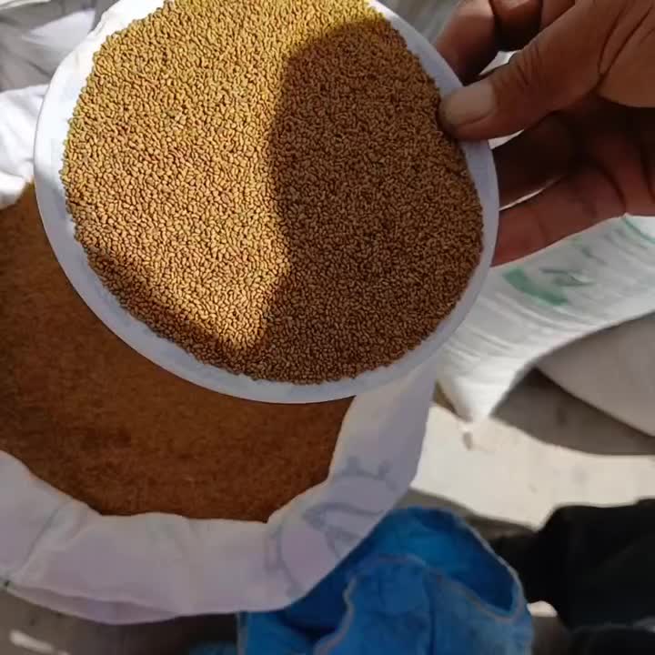بذر یونجه|خدمات باغبانی و درختکاری|شراء, |دیوار