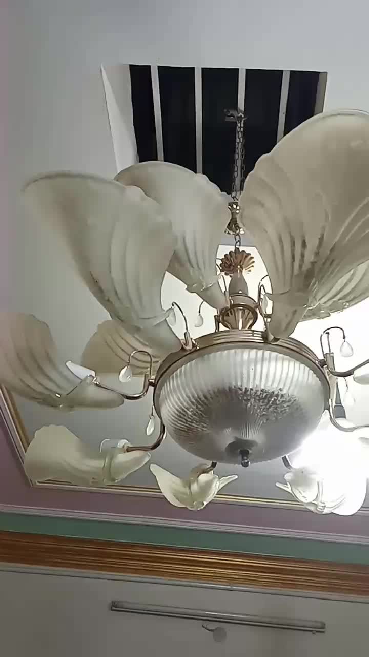 انواع لوستر|لوستر و چراغ آویز|زابل, |دیوار