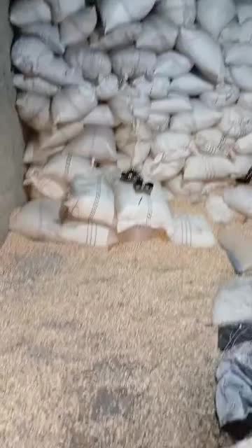 کارگرساده|استخدام صنعتی، فنی، مهندسی|شهریار, شهرک بهاران (ویره)|دیوار