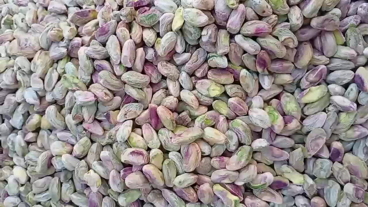 فروش پسته و مغز توسط بازرگانی شنتیا پیشگام خراسان|خوردنی و آشامیدنی|مشهد, امام خمینی|دیوار