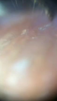 لنز میکروسکوپ موبایلی دقت بالا اندازه جمع‌وجور|لوازم جانبی موبایل و تبلت|تهران, میرداماد|دیوار