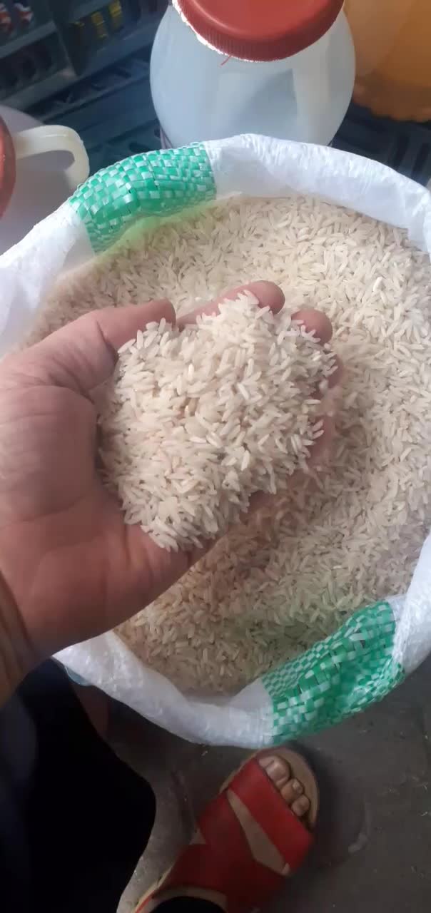 خوردنی و اشامیدنی|خوردنی و آشامیدنی|لاهیجان, پردسر|دیوار